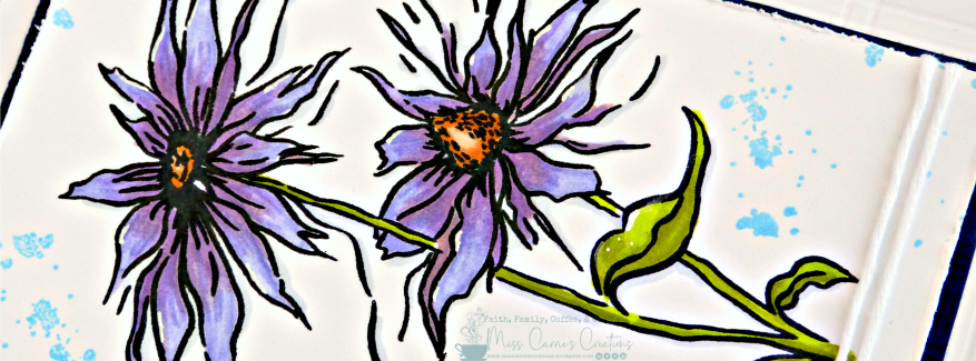 Sweet Cone Flower Card